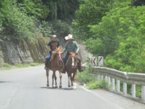 IMG_8683