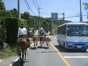 IMG_8792
