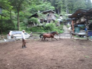 IMG_0022