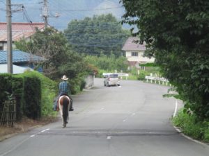 IMG_0312