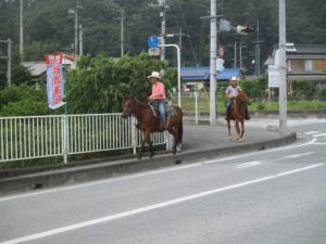 IMG_9311