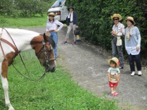 IMG_0743