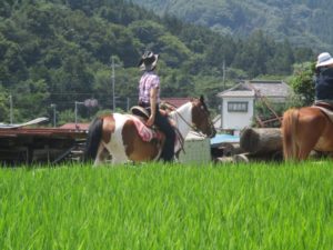 IMG_0782