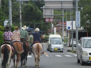 IMG_0794
