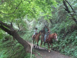 IMG_1077