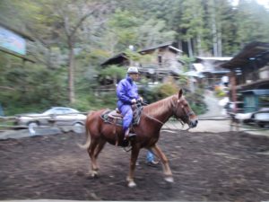 IMG_3189
