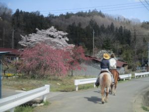 IMG_9755