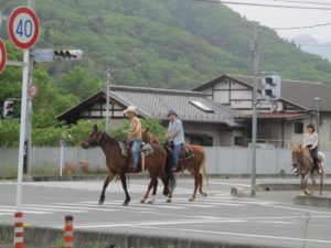 IMG_1399