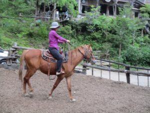 IMG_2431