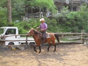 IMG_2637