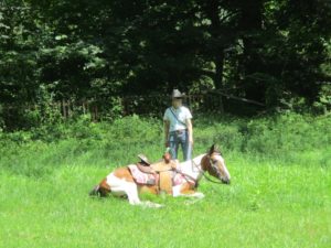 IMG_4116
