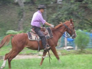 IMG_4407
