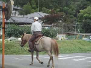 IMG_4439