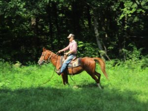 IMG_4756