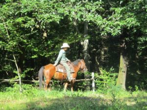 IMG_5210
