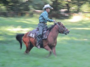IMG_5227