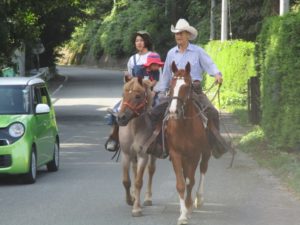 IMG_5446