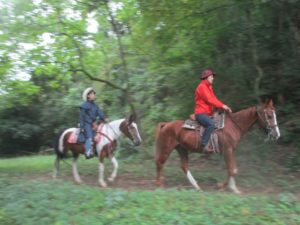 IMG_5700