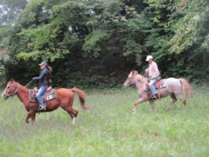 IMG_6888