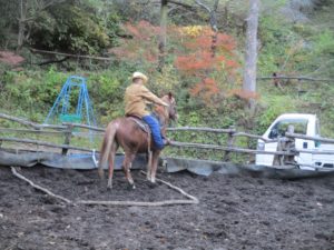 IMG_8034