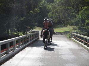 IMG_2835