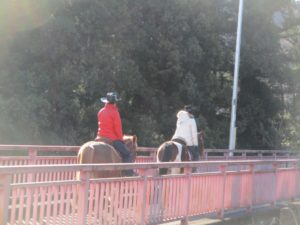 IMG_5759