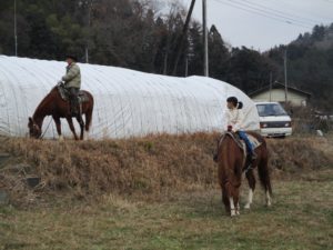 IMG_6237