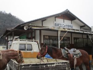 IMG_9141
