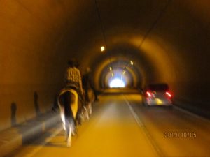 IMG_3149