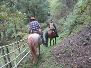 IMG_3598 (2)