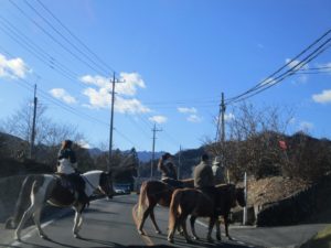 IMG_8306