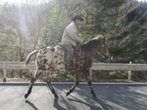 IMG_8854