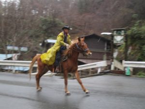 IMG_1753