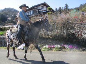 IMG_2399