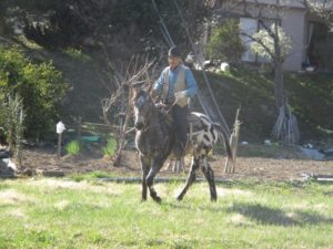 IMG_2405