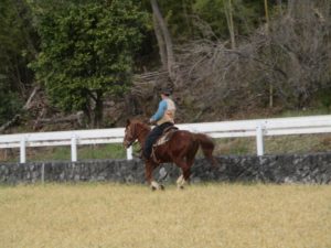 IMG_2576