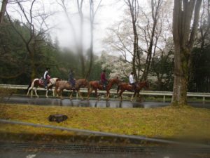 IMG_2737