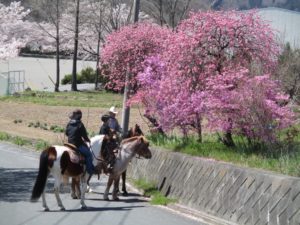 IMG_3240
