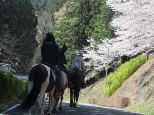 IMG_3330