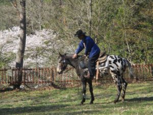 IMG_3390