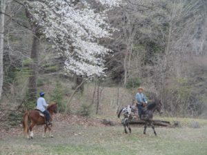 IMG_3581