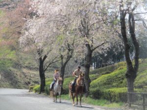 IMG_4187