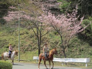 IMG_4190