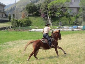 IMG_4240