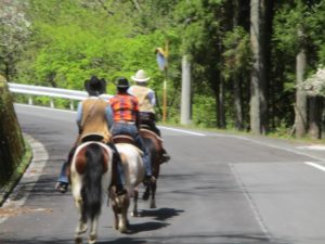 IMG_4358