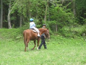 IMG_6065
