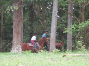 IMG_6079
