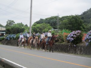 IMG_8472