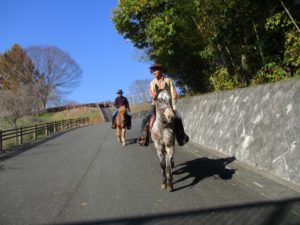 IMG_3108