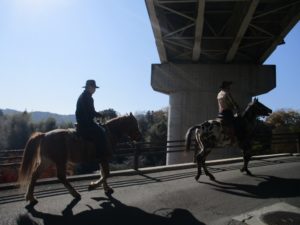 IMG_3125